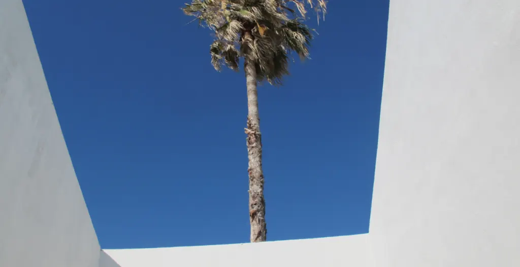 Inaugurazione della Galleria a cielo aperto di Mangiabarche